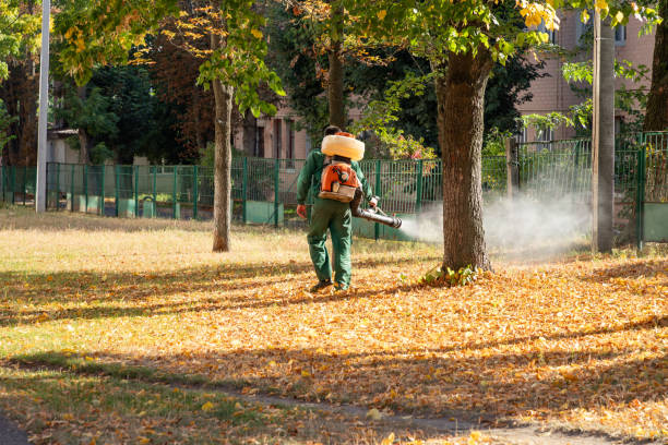 Professional Pest Control in Carnot Moon, PA